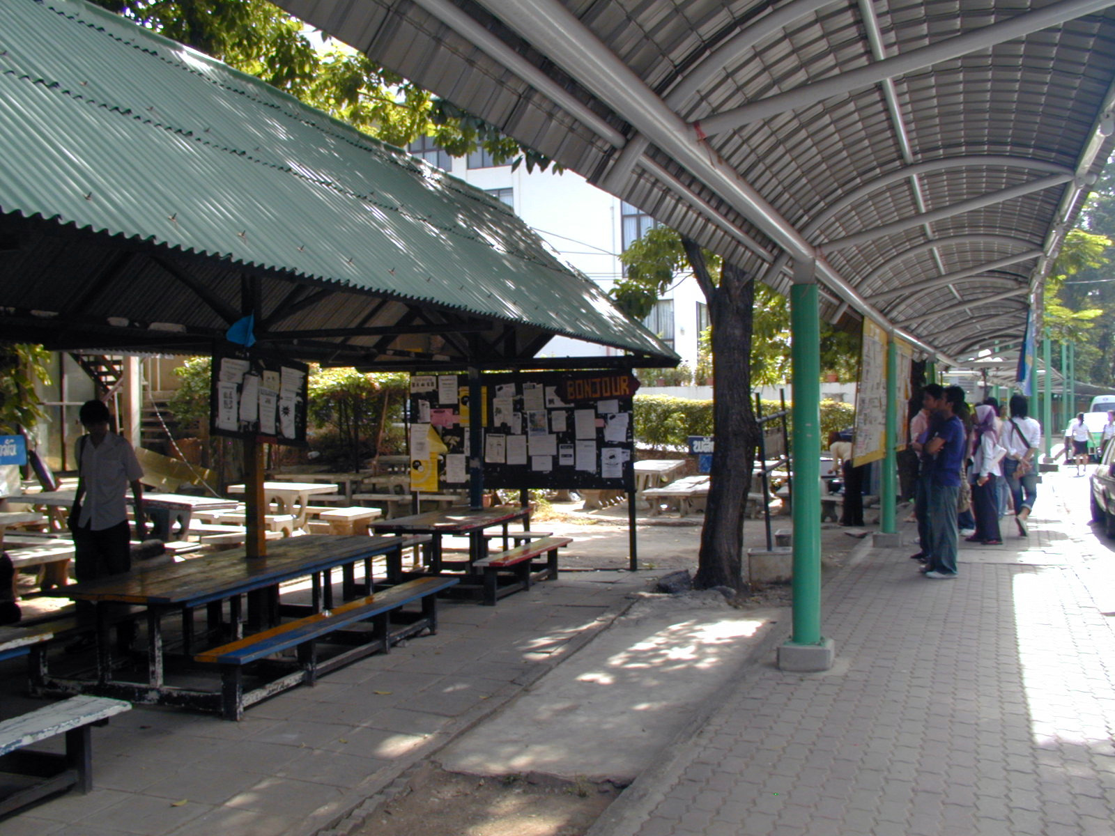 Gillian’s Learning and Qualifications